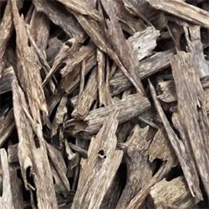 agarwood attar manufacturer distributor supplier exporter wholesalers in kannauj kanpur delhi mumbai india